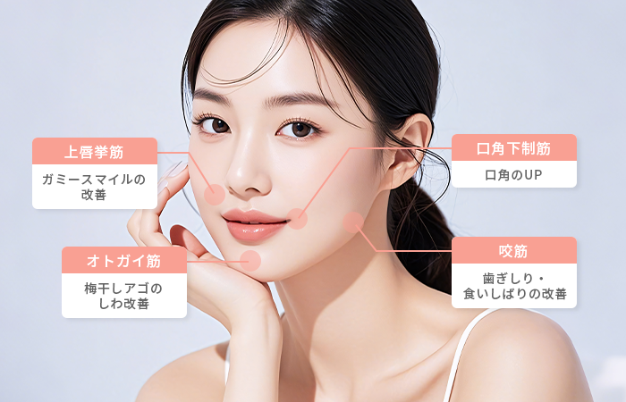 ボツリヌストキシン製剤療法の適応箇所